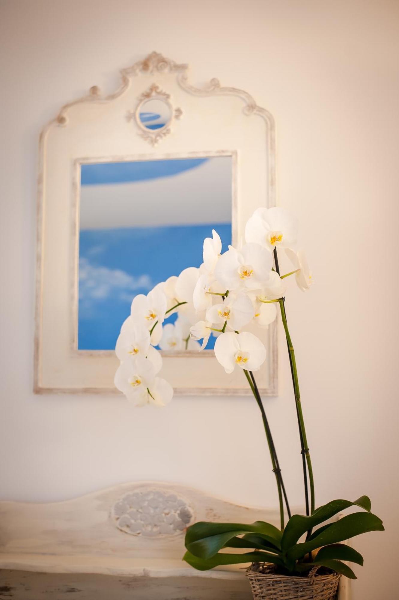 Les 4 Elements Bed and Breakfast Tourrettes-sur-Loup Værelse billede