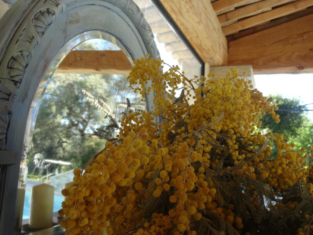 Les 4 Elements Bed and Breakfast Tourrettes-sur-Loup Eksteriør billede