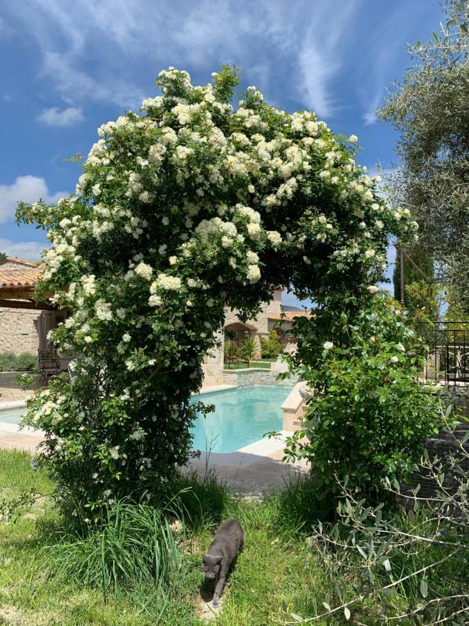 Les 4 Elements Bed and Breakfast Tourrettes-sur-Loup Eksteriør billede
