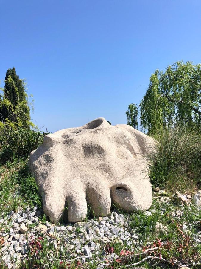 Les 4 Elements Bed and Breakfast Tourrettes-sur-Loup Eksteriør billede